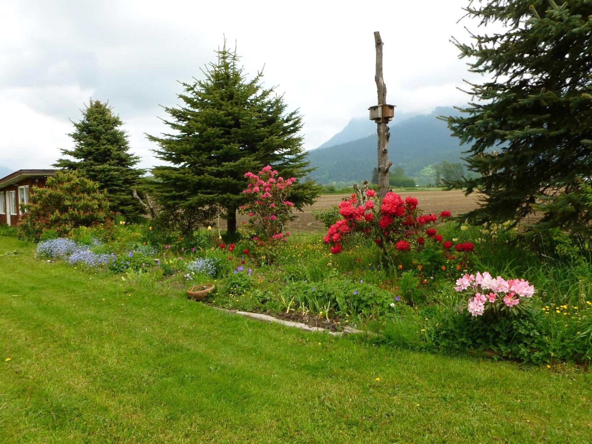 Harrison Hammond House Farmstay Harrison Mills Eksteriør bilde
