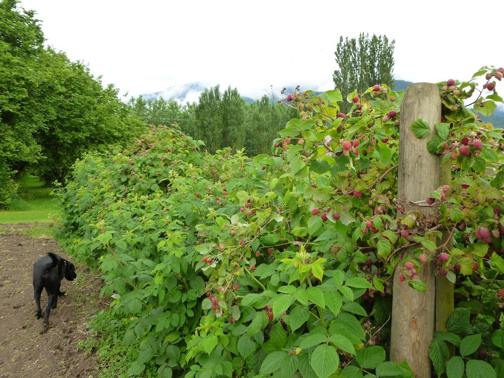 Harrison Hammond House Farmstay Harrison Mills Eksteriør bilde