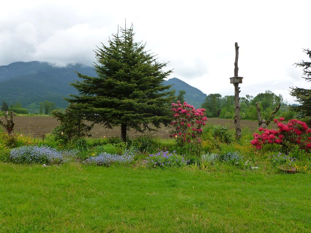 Harrison Hammond House Farmstay Harrison Mills Eksteriør bilde