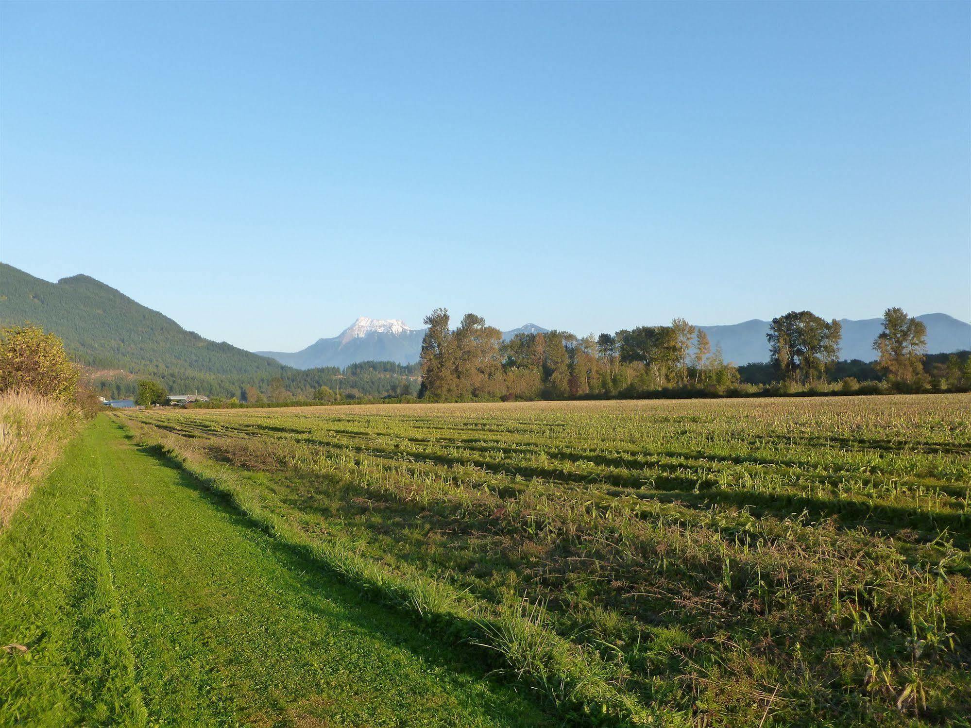 Harrison Hammond House Farmstay Harrison Mills Eksteriør bilde